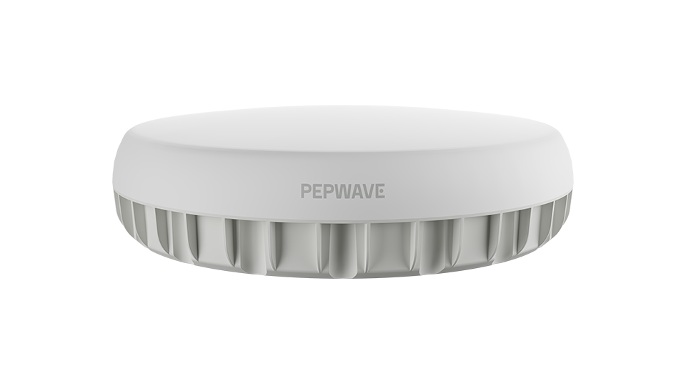 Peplink Antenna MAX Duo, front