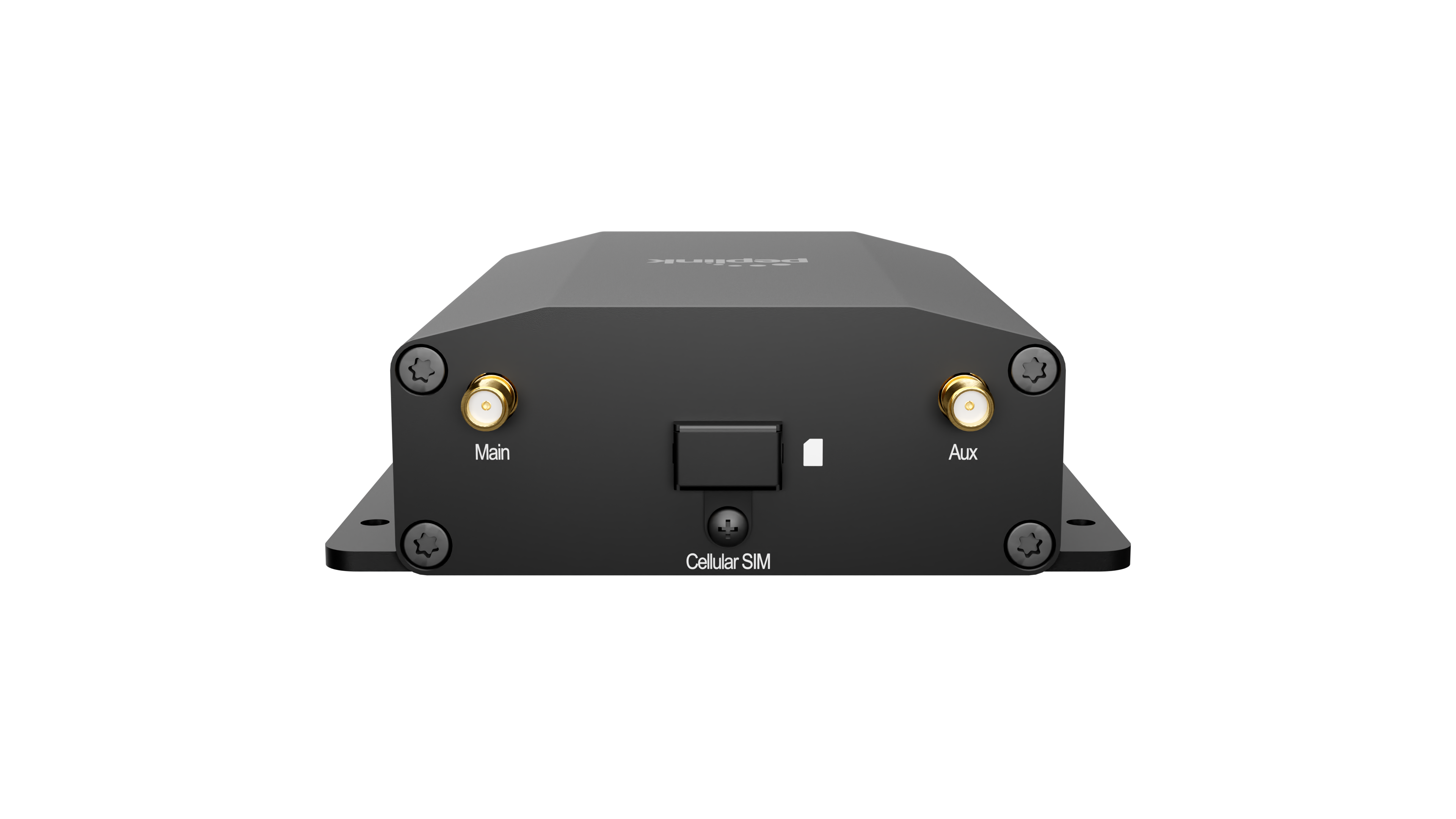 Peplink POTS Adapter, back
