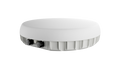 Peplink Antenna MAX Duo, hero shot