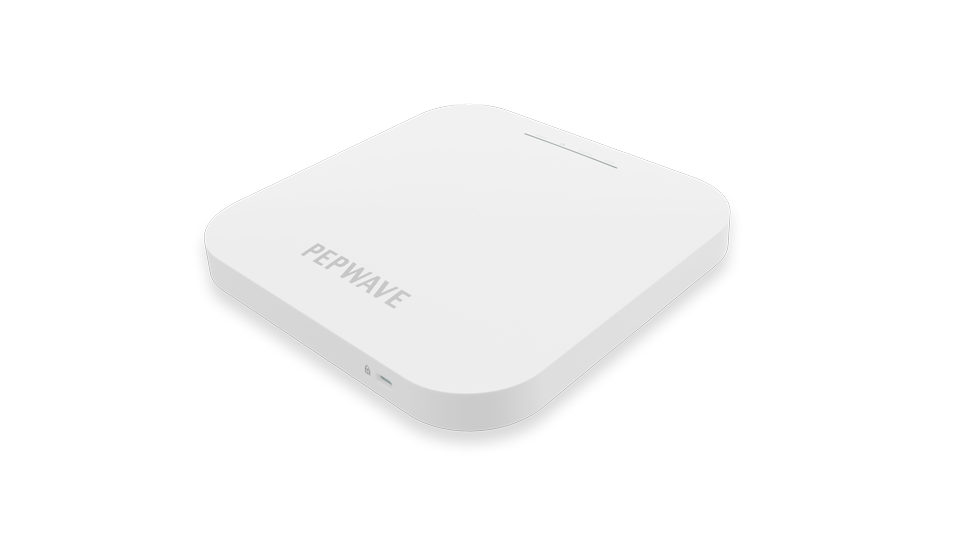 Peplink AP One AX Lite, perspective