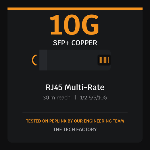 10G SFP+ Copper Module, RJ45 Multi-Rate, Peplink Tested