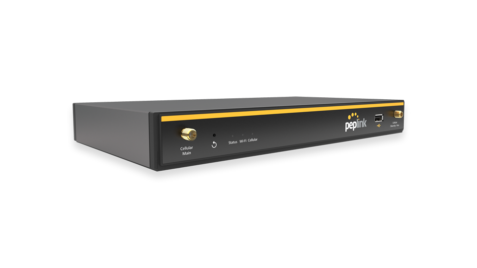Peplink Balance 20X, back