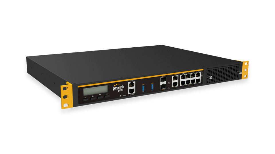 Peplink Balance SDX, back