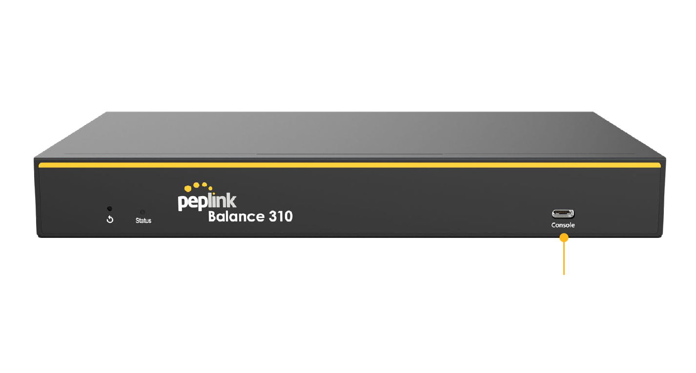 Peplink Balance 310 Multi-Gig Branch Router - front view